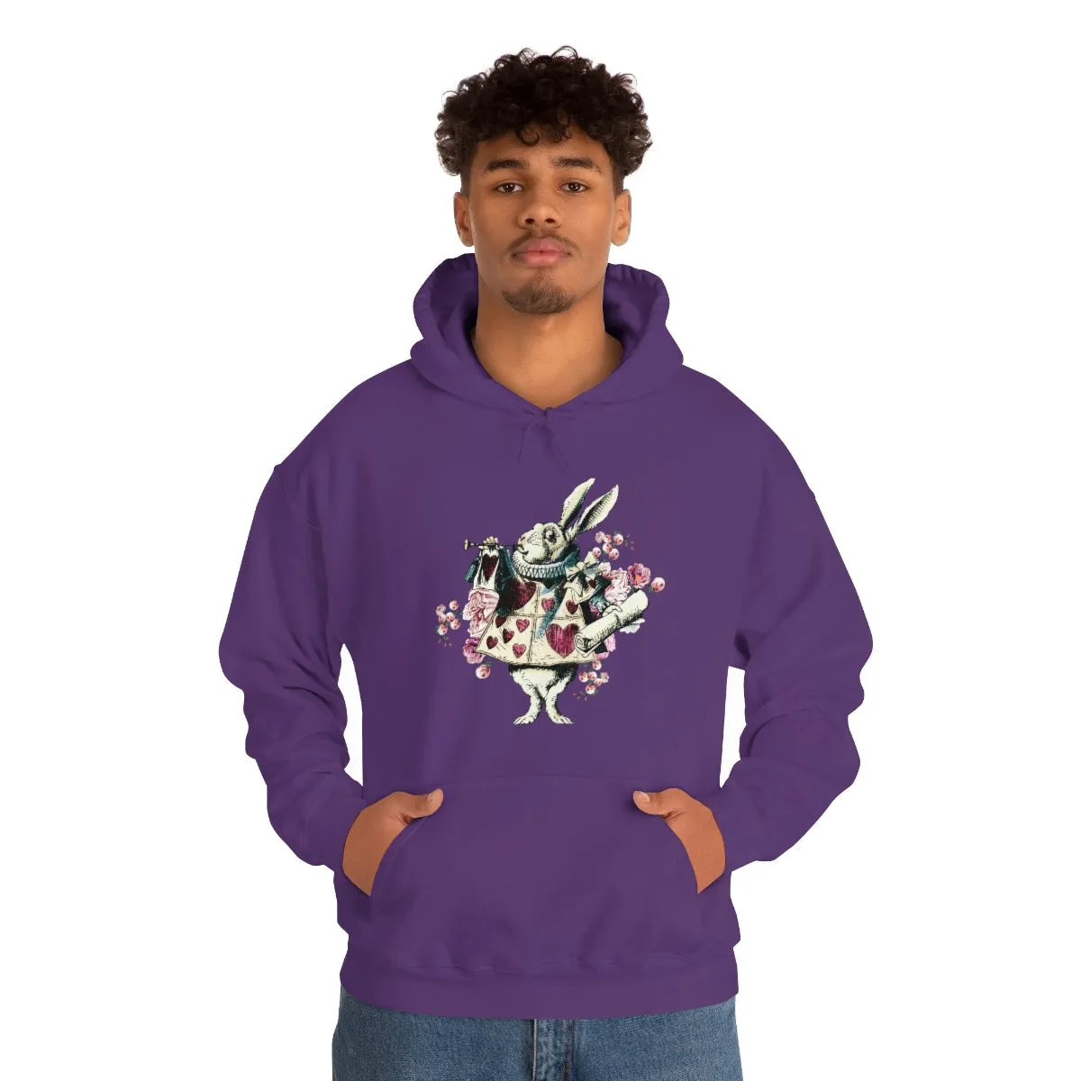 Pullover Hoodies-Alice in Wonderland Gifts 43 Colorful Series, Gift Idea