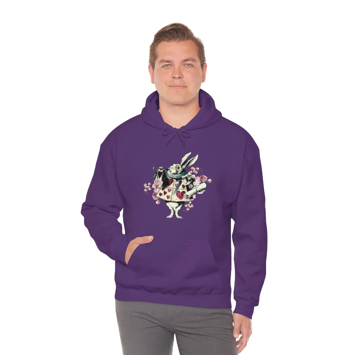 Pullover Hoodies-Alice in Wonderland Gifts 43 Colorful Series, Gift Idea