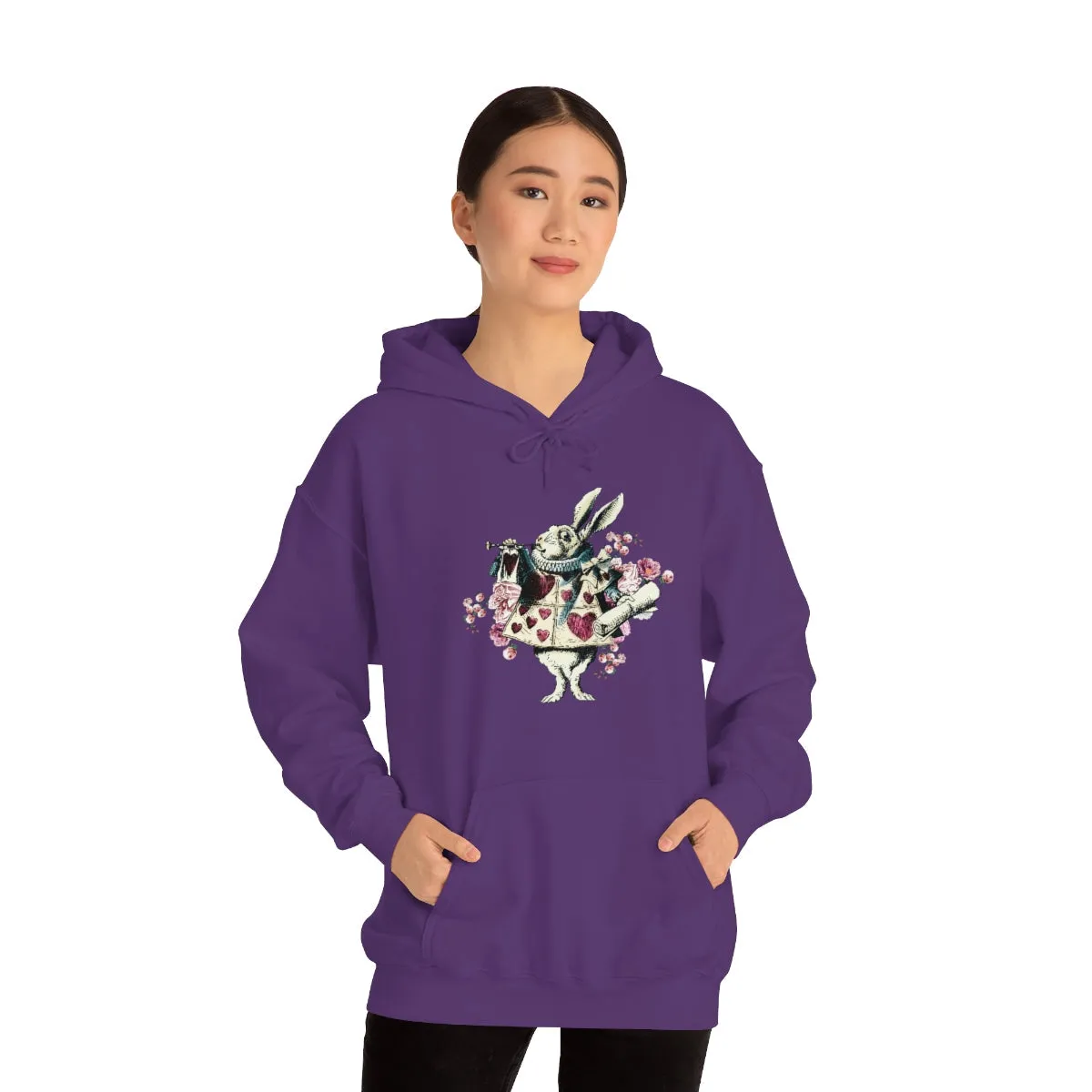 Pullover Hoodies-Alice in Wonderland Gifts 43 Colorful Series, Gift Idea
