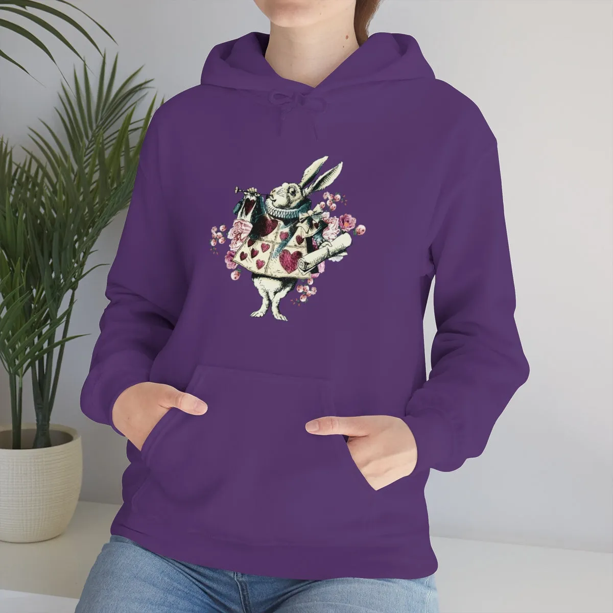 Pullover Hoodies-Alice in Wonderland Gifts 43 Colorful Series, Gift Idea